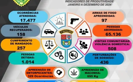 TERCEIRO BATALHÃO DIVULGA RESULTADOS OBTIDOS DURANTE O ANO DE 2024.