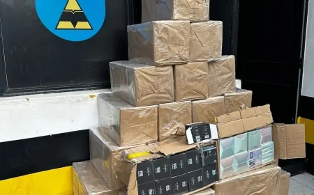 BPRv apreende um veículo carregado com cigarros eletrônicos.