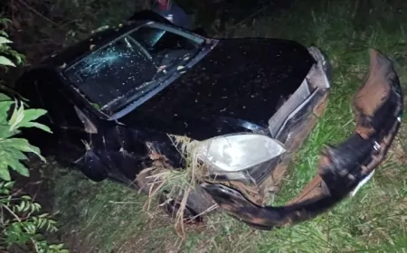 Duas pessoas ficam feridas após veículo capotar na BR-280