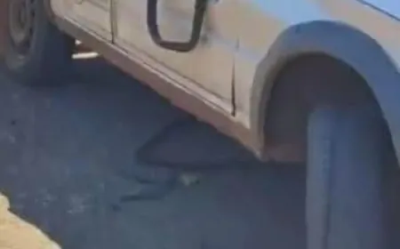 MULHER FICA FERIDA EM CAPOTAMENTO NO INTERIOR DE CHOPINZINHO